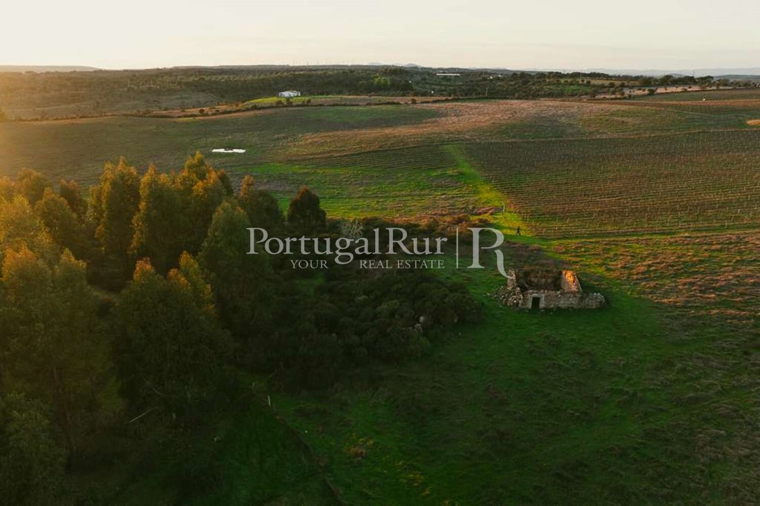 Finca in Se e Sao Lourenco, Portalegre District, Portugal 3 - 18156517