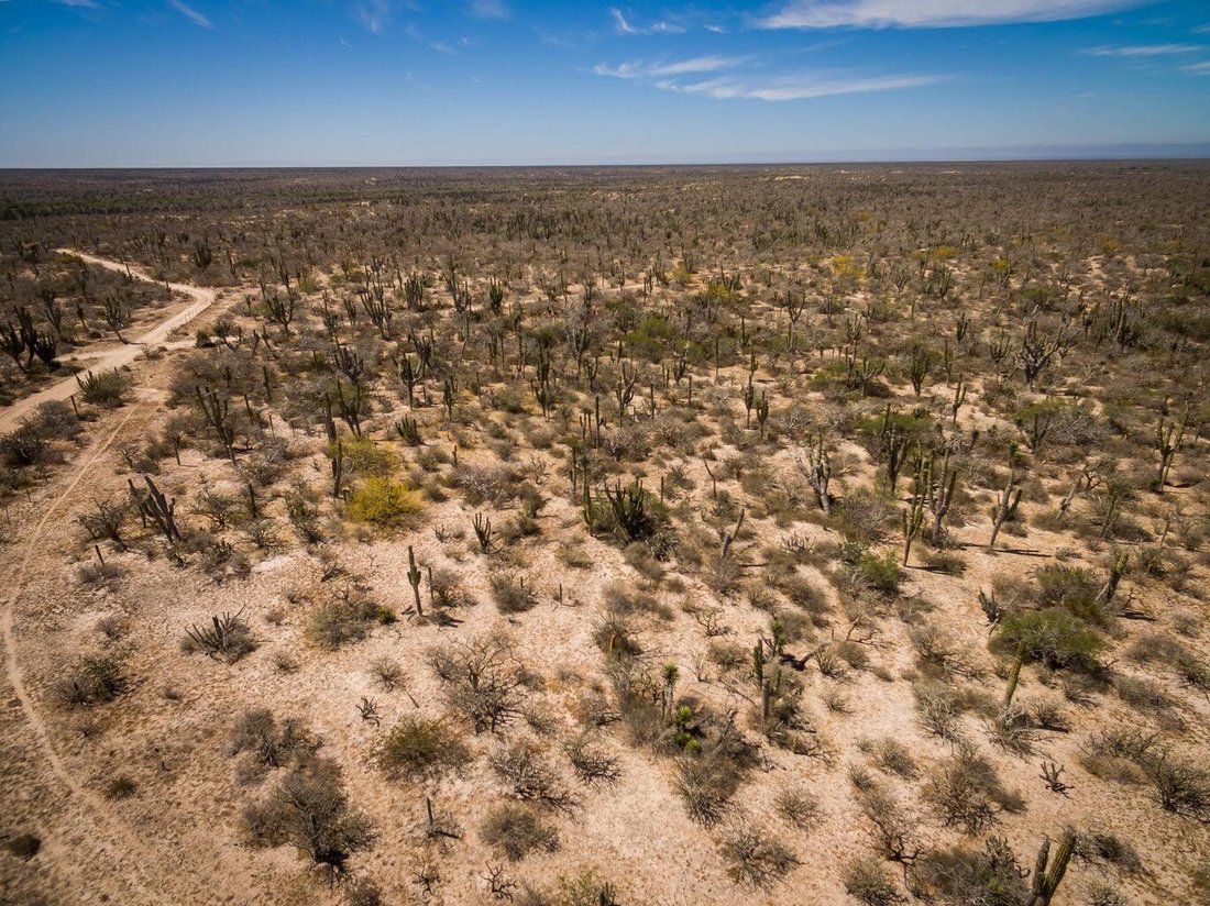 Tepetate, Baja California Sur, Mexico 4 - 18317074