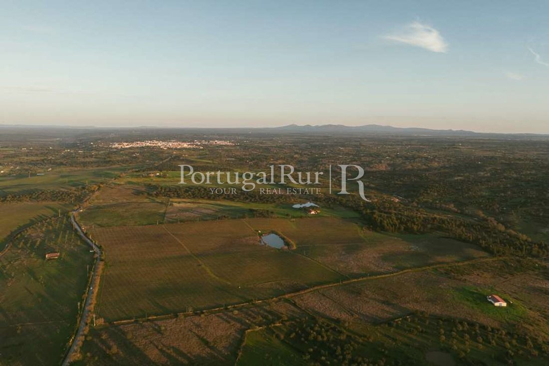 Finca in Se e Sao Lourenco, Portalegre District, Portugal 2 - 18156517