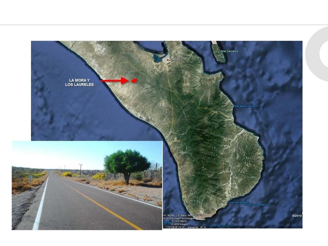 Tepetate, Baja California Sur, Mexico 2 - 18317074