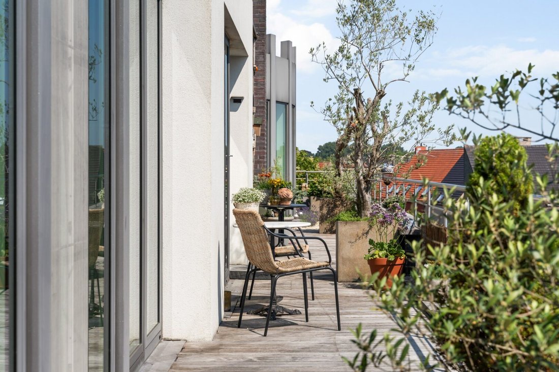 Apartment in Turnhout, Flanders, Belgium 5 - 15315828