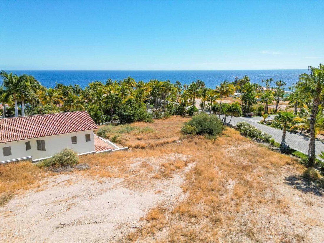 San José del Cabo, Baja California Sur, Mexico 5 - 18316995