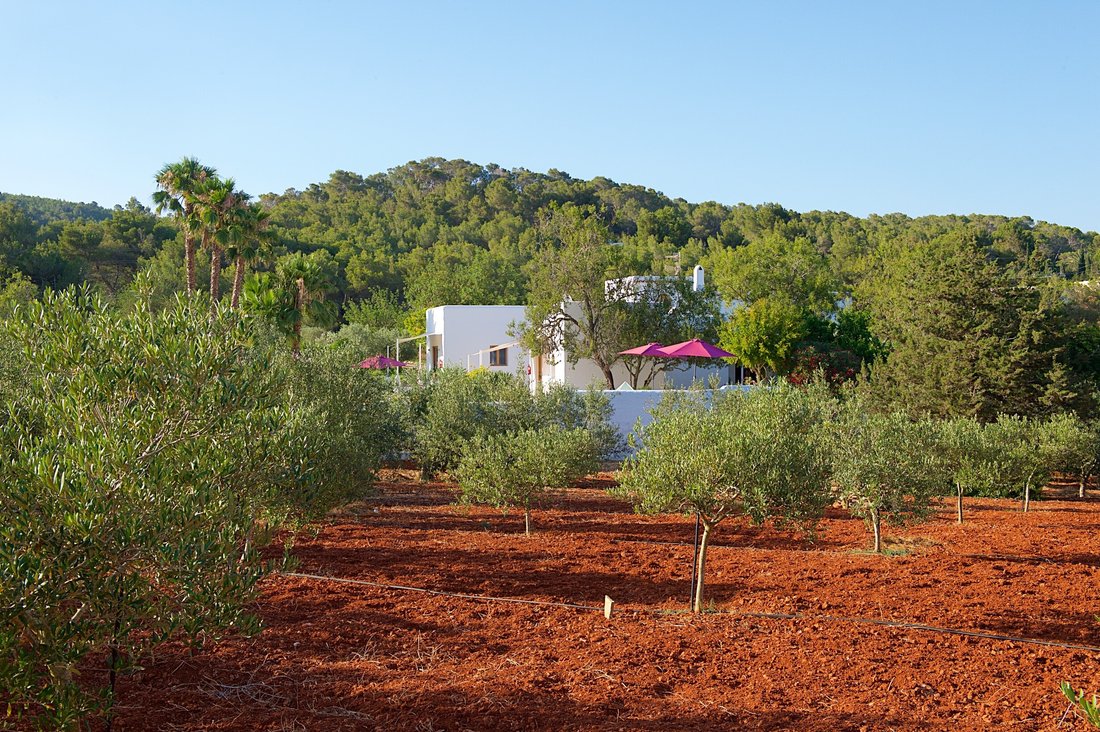 Villa in Santa Eularia des Riu, Balearic Islands, Spain 2 - 18316870