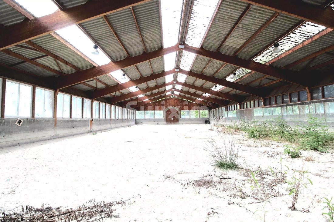 Estate in Allinges, Auvergne-Rhône-Alpes, France 3 - 18317148