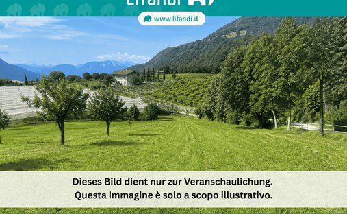Land in Cortaccia / Kurtatsch an der Weinstraße, Trentino – Alto Adige/Südtirol, Italy 1