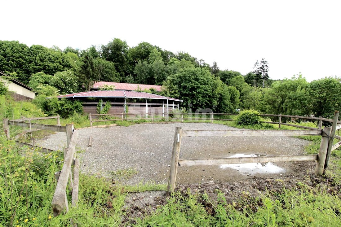 Estate in Allinges, Auvergne-Rhône-Alpes, France 2 - 18317148