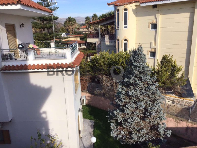 House in Marathonas, Attica, Greece 3 - 18317517