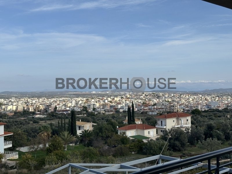 House in Kropia, Attica, Greece 4 - 18317481