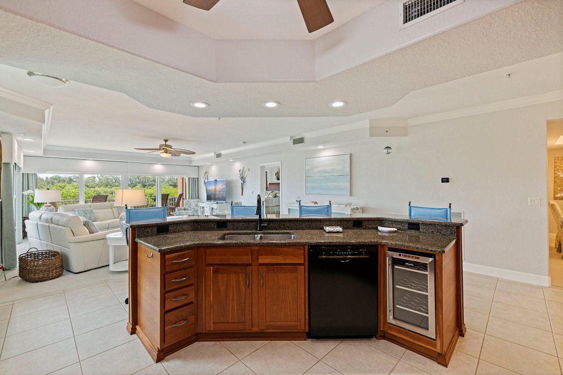 Condo in St. Petersburg, Florida, United States 5 - 18317701