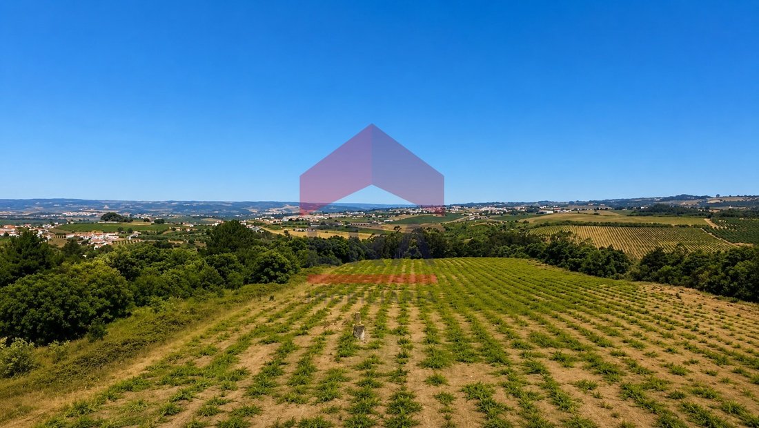 Land in Carvalhal, Leiria District, Portugal 3 - 18255934