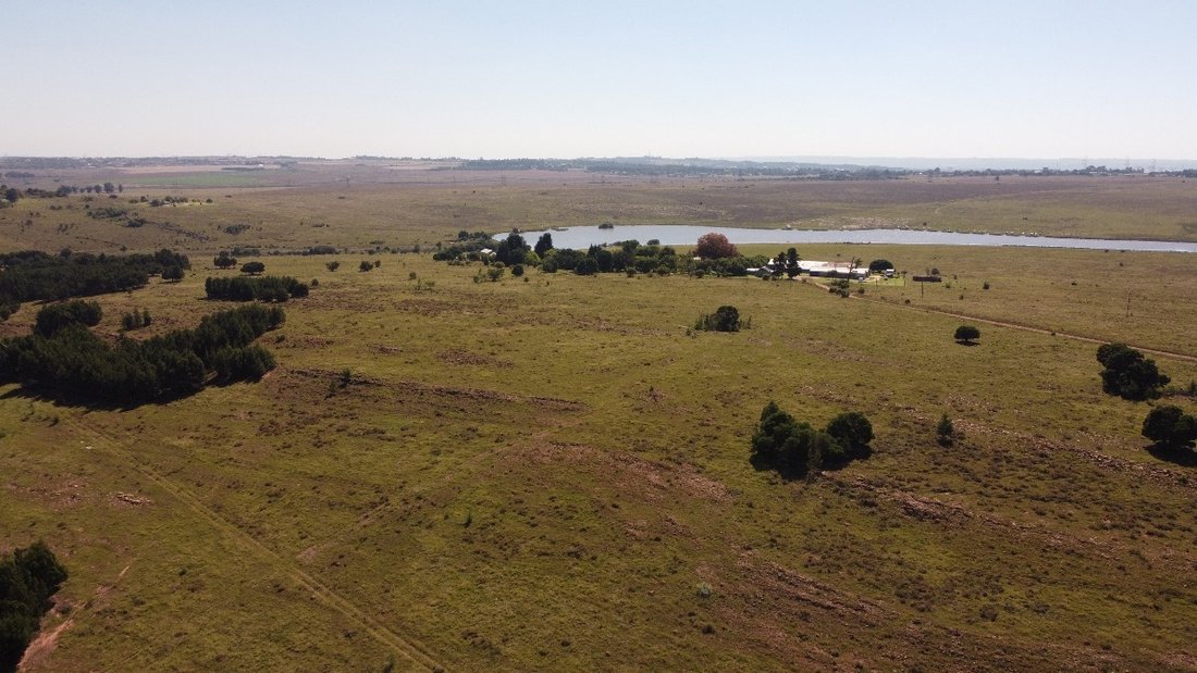 Farm Ranch in Elandsfontein AH, Gauteng, South Africa 5 - 14466496