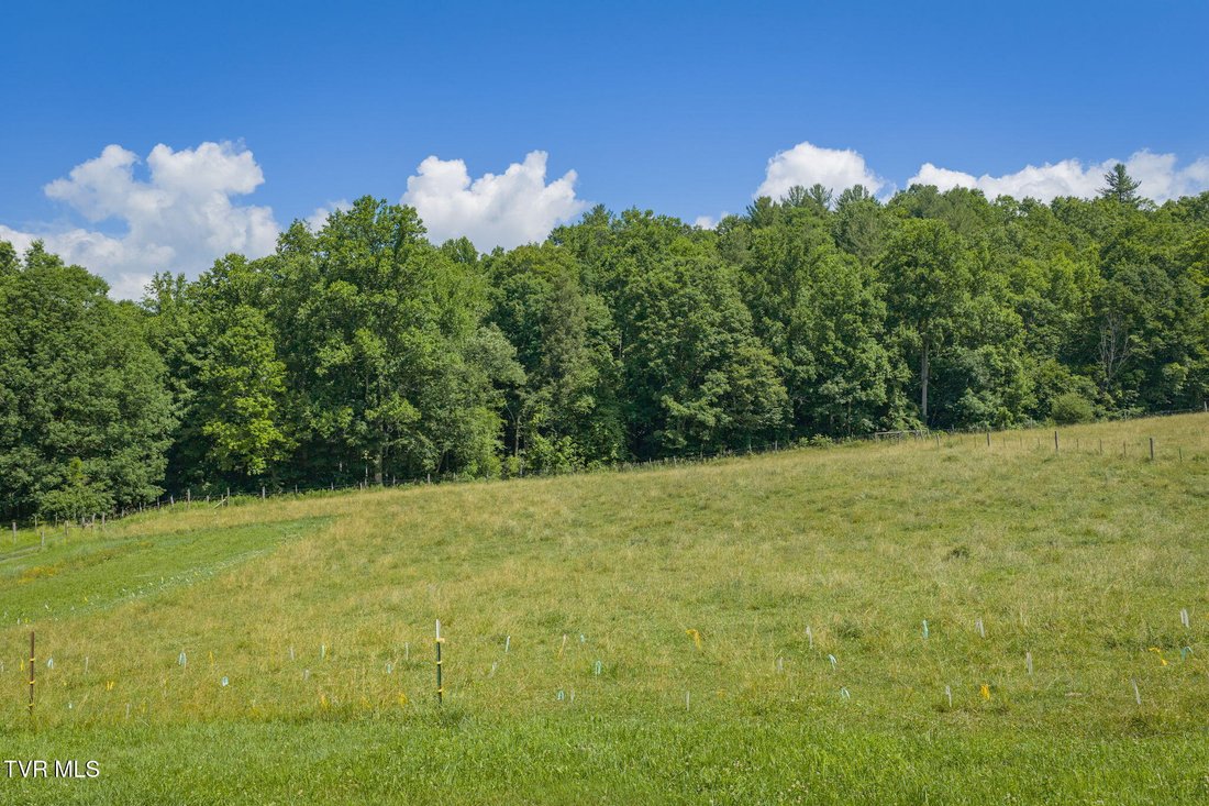 House in Roan Mountain, Tennessee, United States 5 - 18321411
