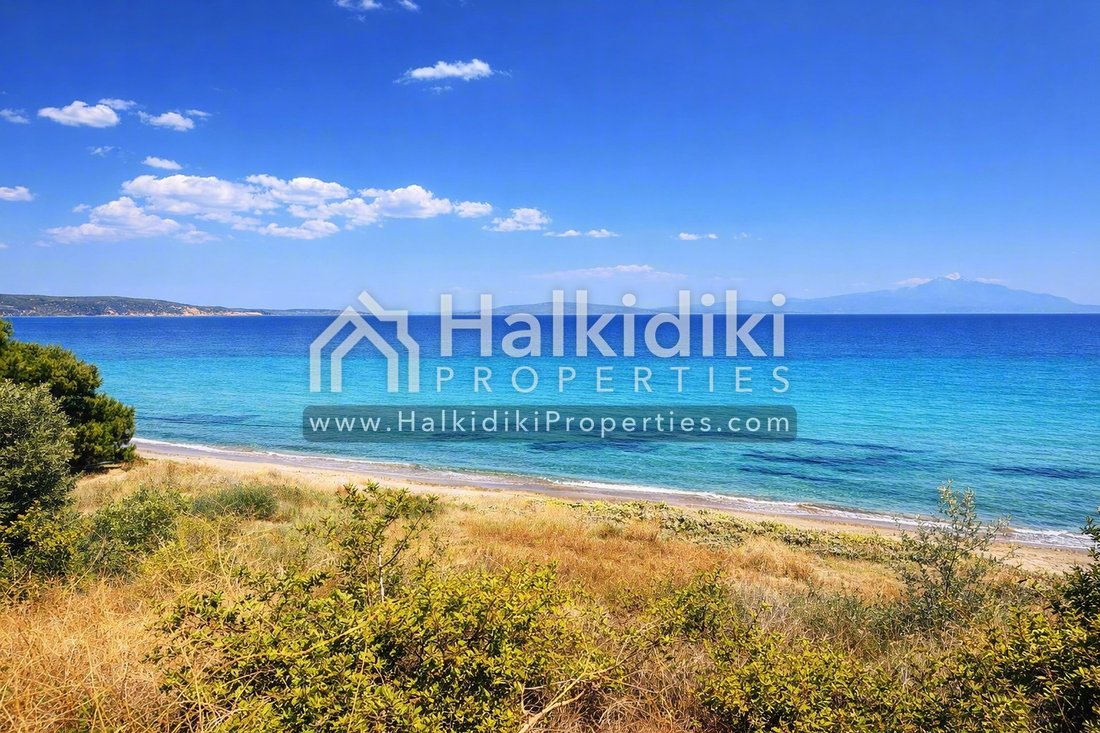 Land in Sithonia, Macedonia and Thrace, Greece 3 - 14613619