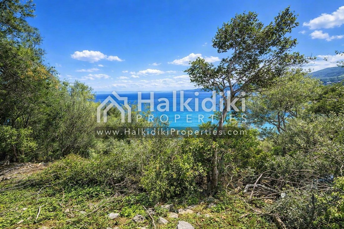 Land in Aristotle, Macedonia and Thrace, Greece 2 - 15298168