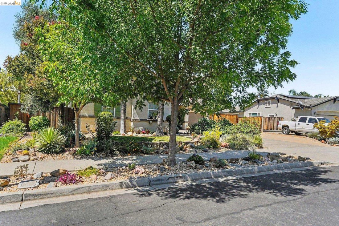 House in Brentwood, California, United States 4 - 18318015