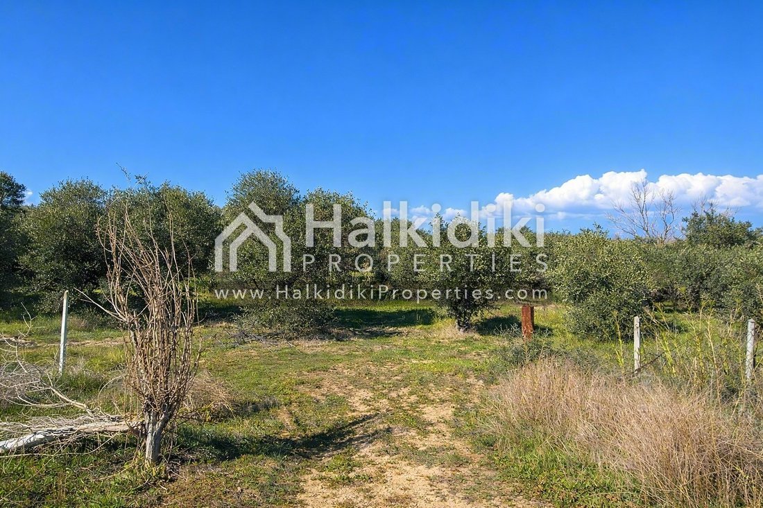 Land in Nea Propontida, Macedonia and Thrace, Greece 4 - 15207241