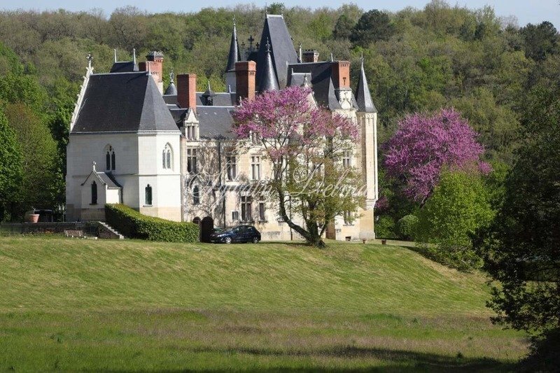Castle in Grammont, Tours, France 3 - 18322762