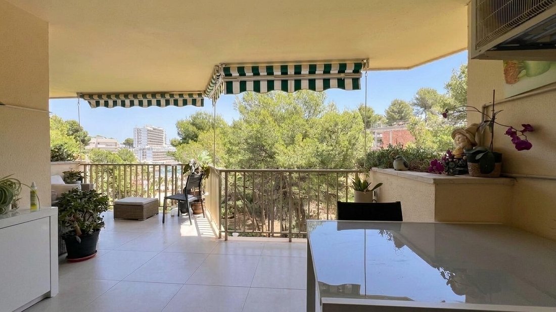 Apartment in Calvia, Balearic Islands, Spain 5 - 18323021
