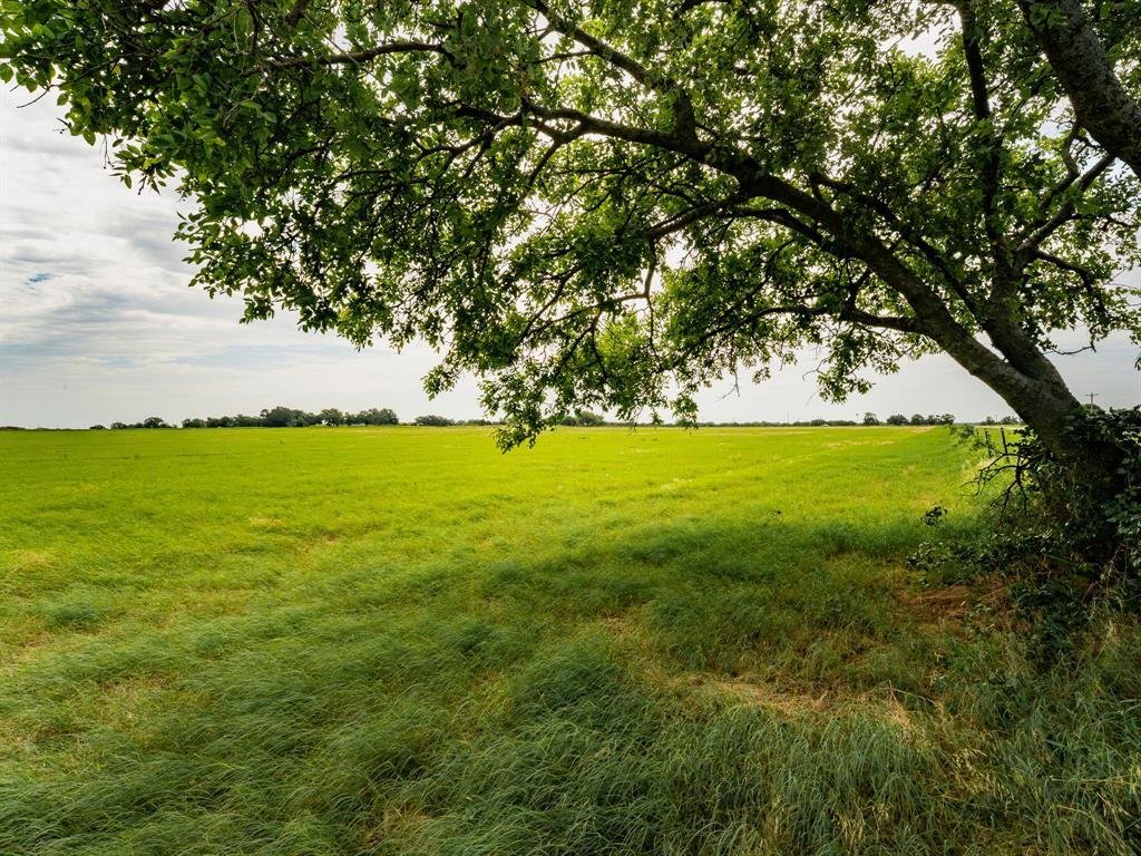 Land in Chico, Texas, United States 5 - 18318242