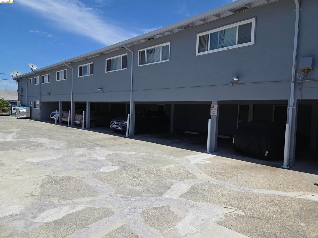 Hayward, California, United States 5 - 17296159