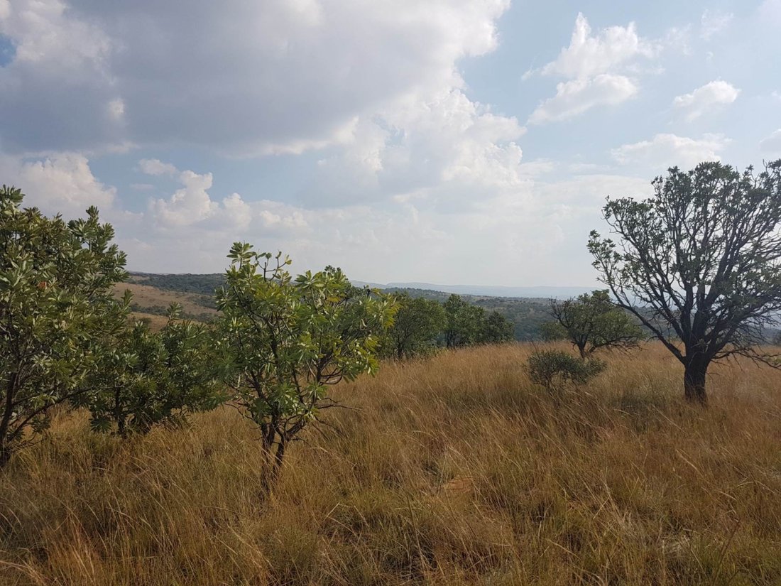 Farm Ranch in Rustenburg, North West, South Africa 4 - 14585806
