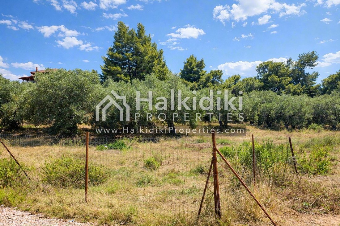 Land in Pallini Municipal Unit, Macedonia and Thrace, Greece 5 - 14801035