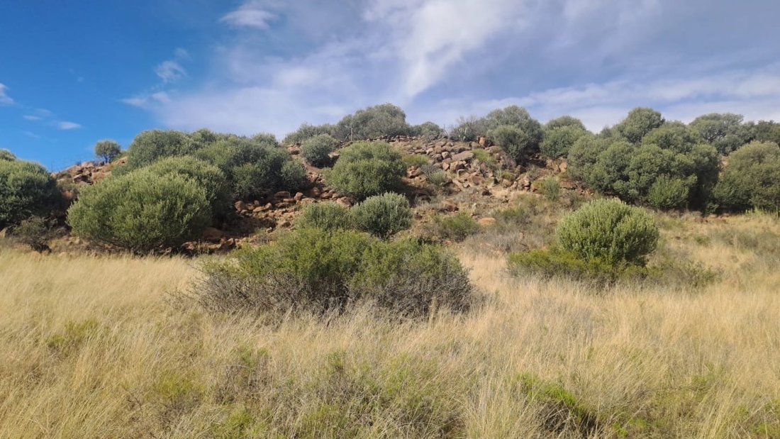 Farm Ranch in Bloemfontein, Free State, South Africa 1 - 18320305