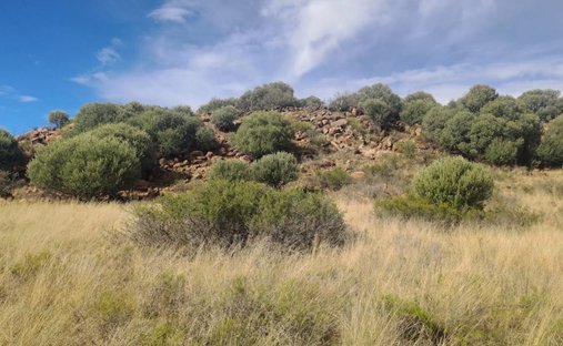 Azienda agricola a Bloemfontein, Free State, Sudafrica 1
