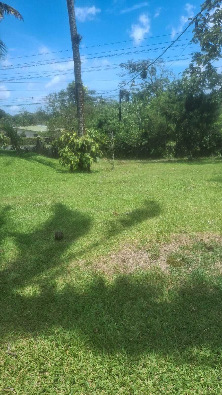 Farm Ranch in Guayabal, Alajuela Province, Costa Rica 5 - 18322343