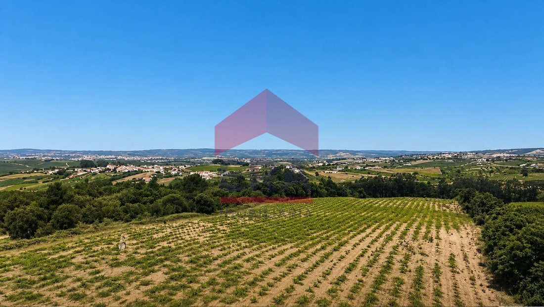 Land in Carvalhal, Leiria District, Portugal 2 - 18255934