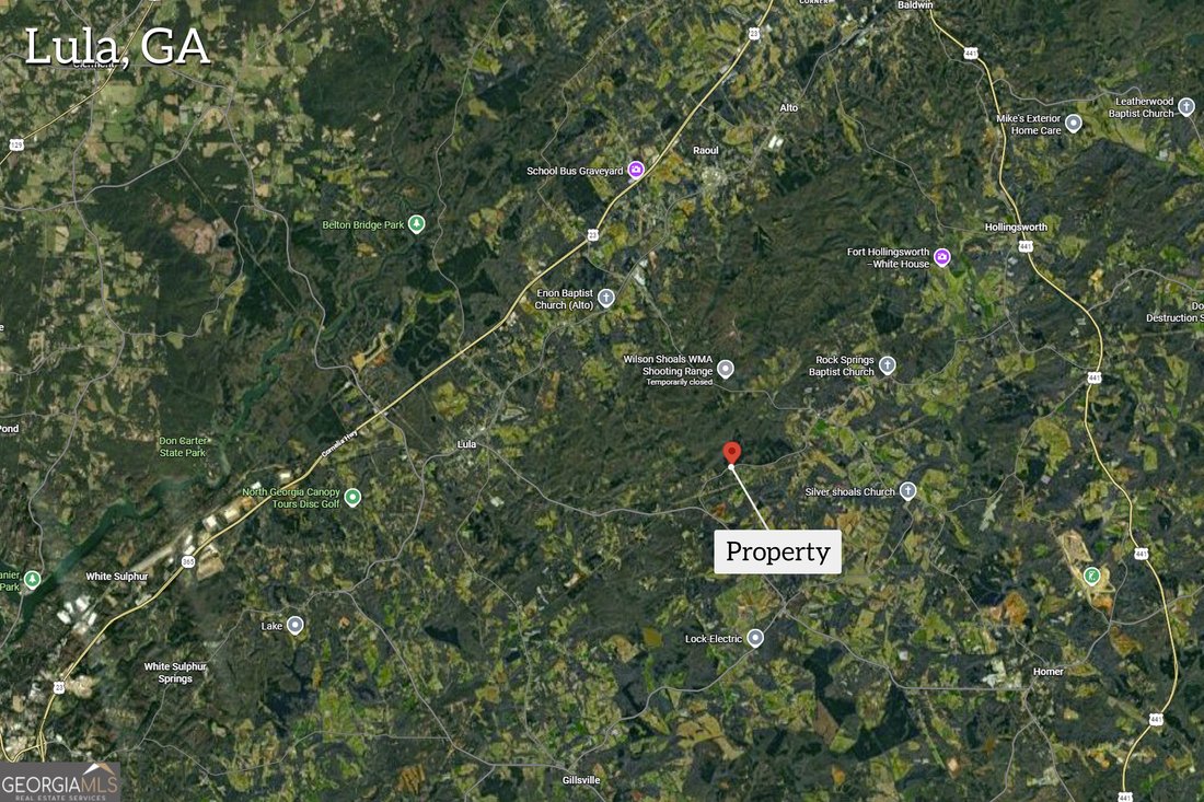 Land in Lula, Georgia, United States 3 - 18319088