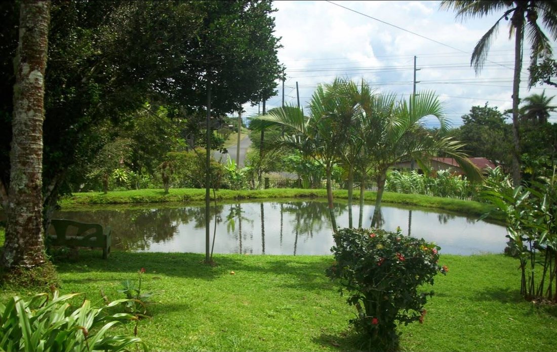 Farm Ranch in Guayabal, Alajuela Province, Costa Rica 3 - 18322343