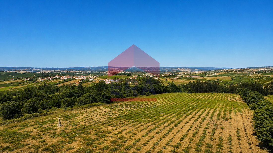 Land in Carvalhal, Leiria District, Portugal 5 - 18255934