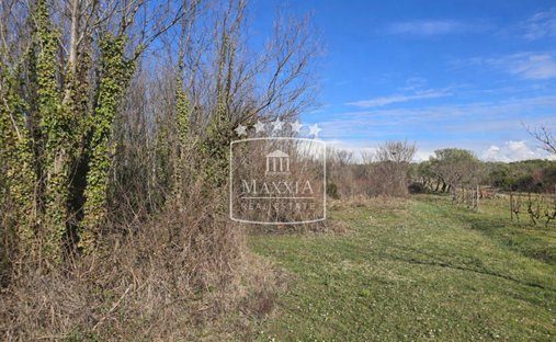 Land in Petrcane, Zadar County, Croatia 1