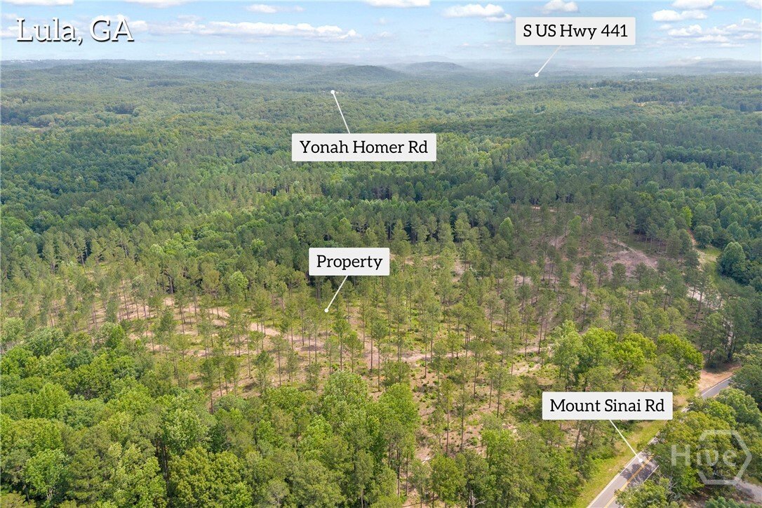 Land in Lula, Georgia, United States 4 - 18319151