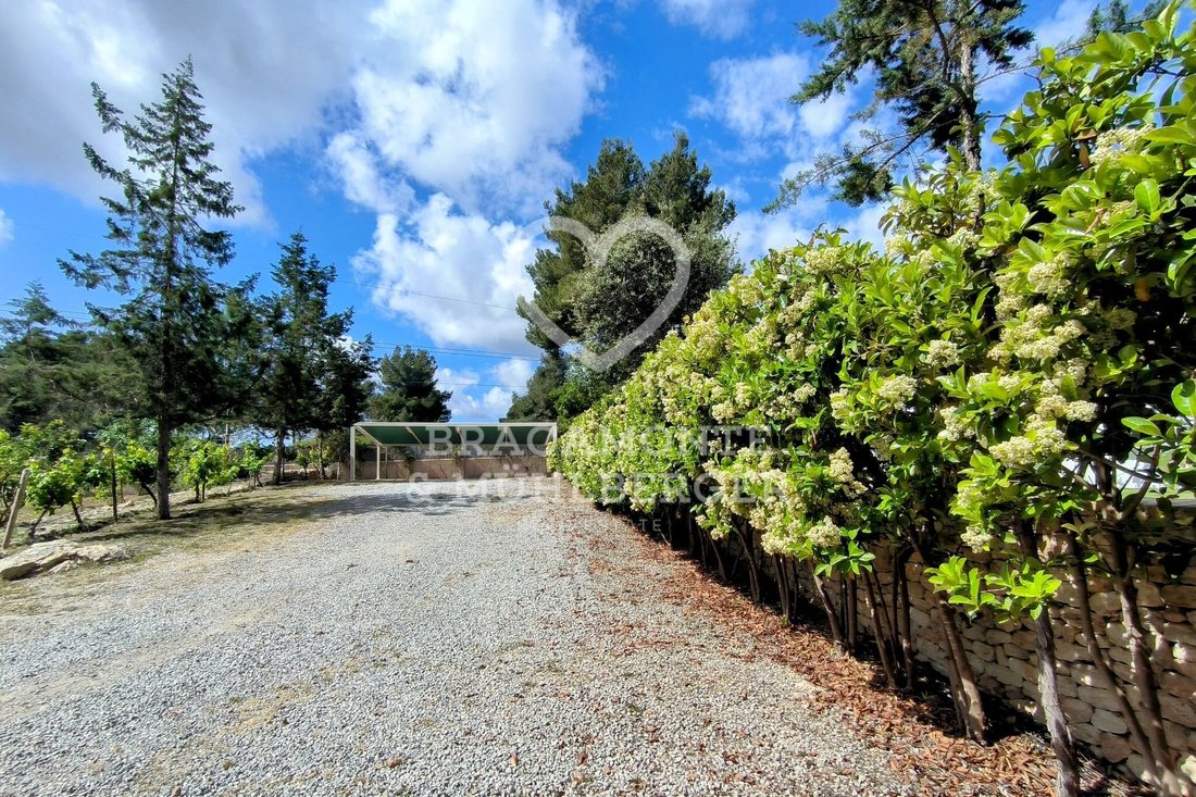 Villa à Santa Gertrudis de Fruitera, Santa Eulària des Riu, Îles Baléares 5 - 18323022