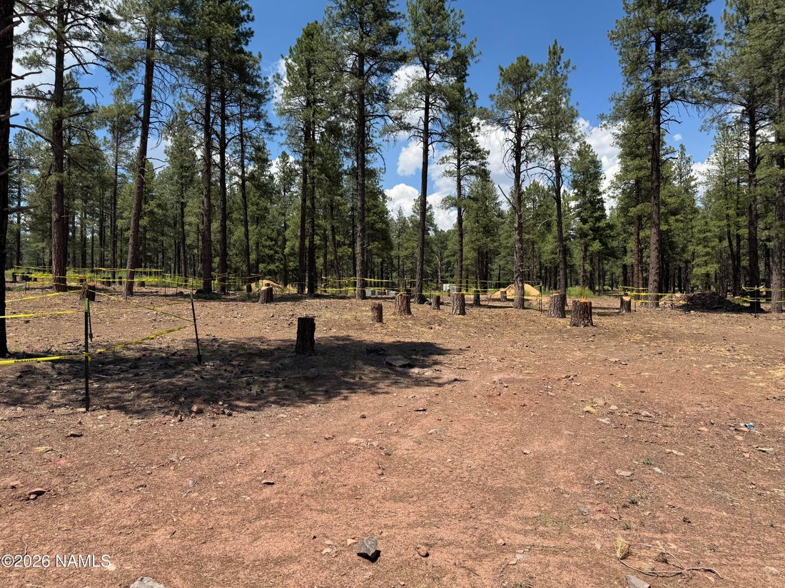 House in Flagstaff, Arizona, United States 2 - 18321302