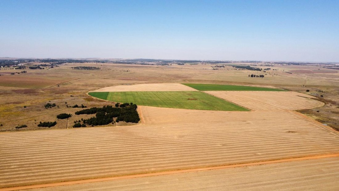Farm Ranch in Garsfontein, Gauteng, South Africa 1 - 14466503