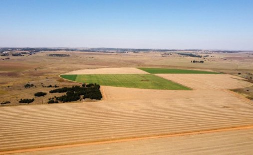 Farm Ranch in Pretoria, Gauteng, Südafrika 1
