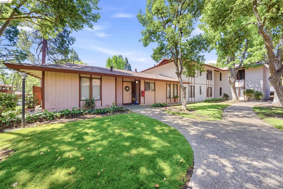 Pleasant Hill, California, United States 1 - 18322052