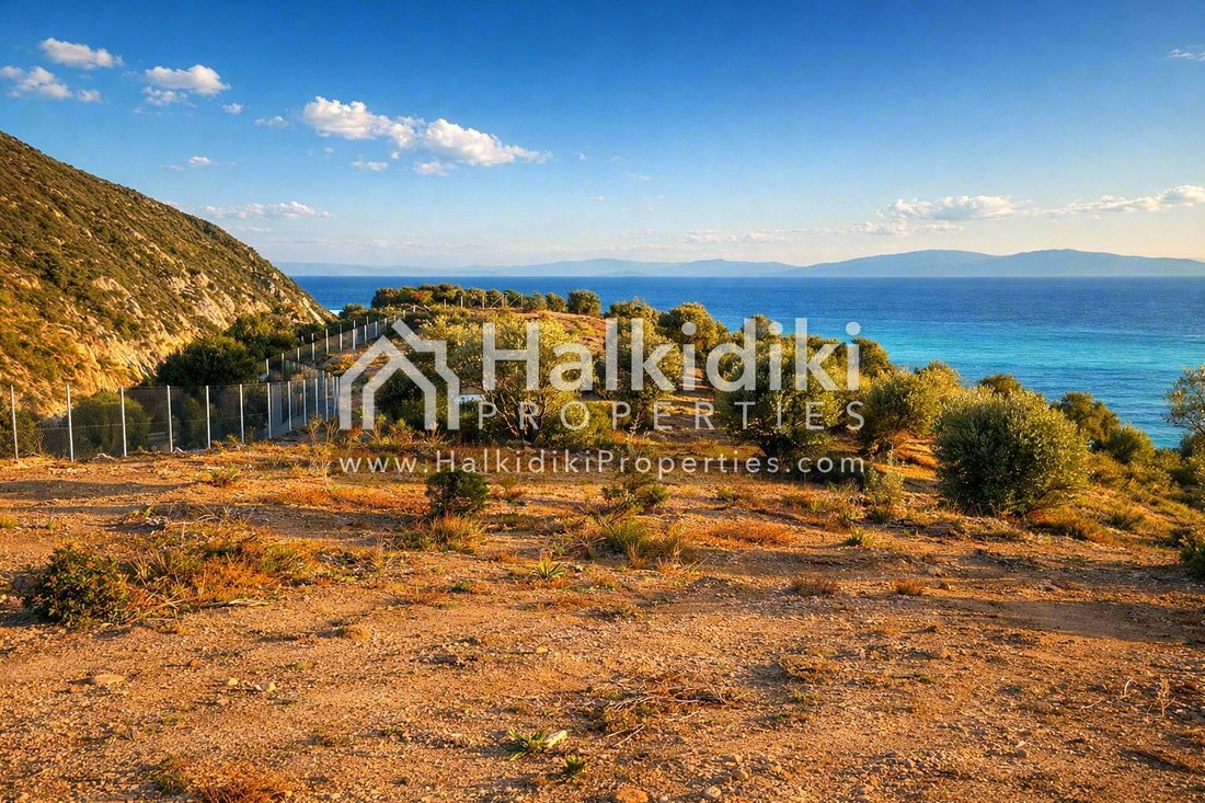 Land in Aristotle, Macedonia and Thrace, Greece 3 - 11865059