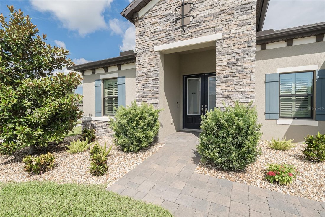 House in Land O' Lakes, Florida, United States 4 - 18318127