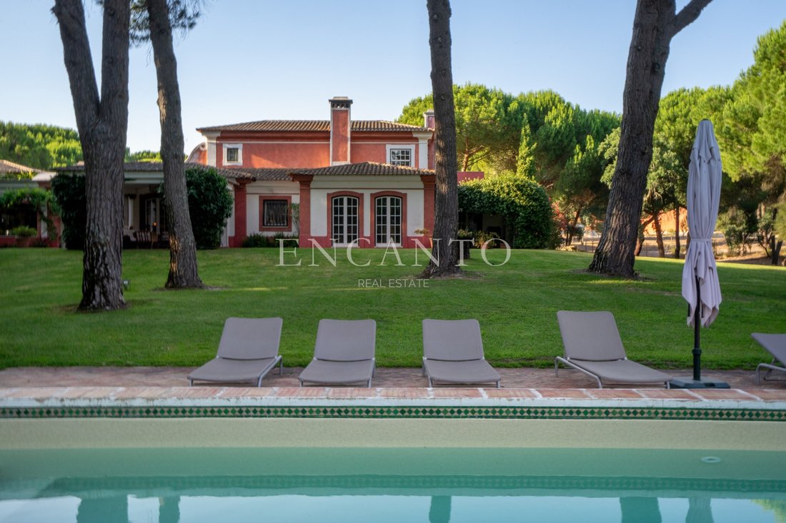 Finca in Santo Estevao, Santarem District, Portugal 5 - 18323073
