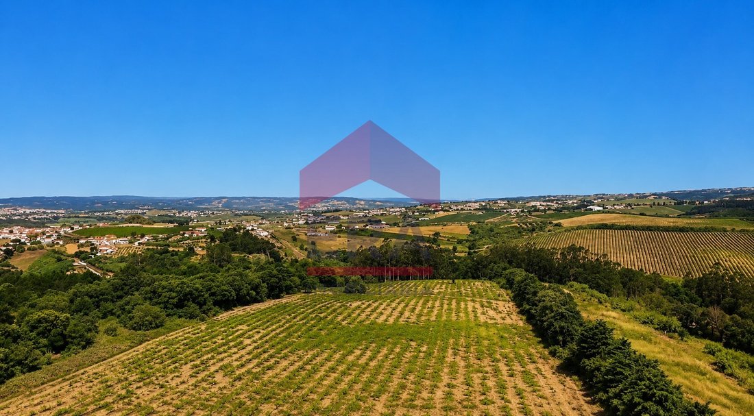 Land in Carvalhal, Leiria District, Portugal 4 - 18255934