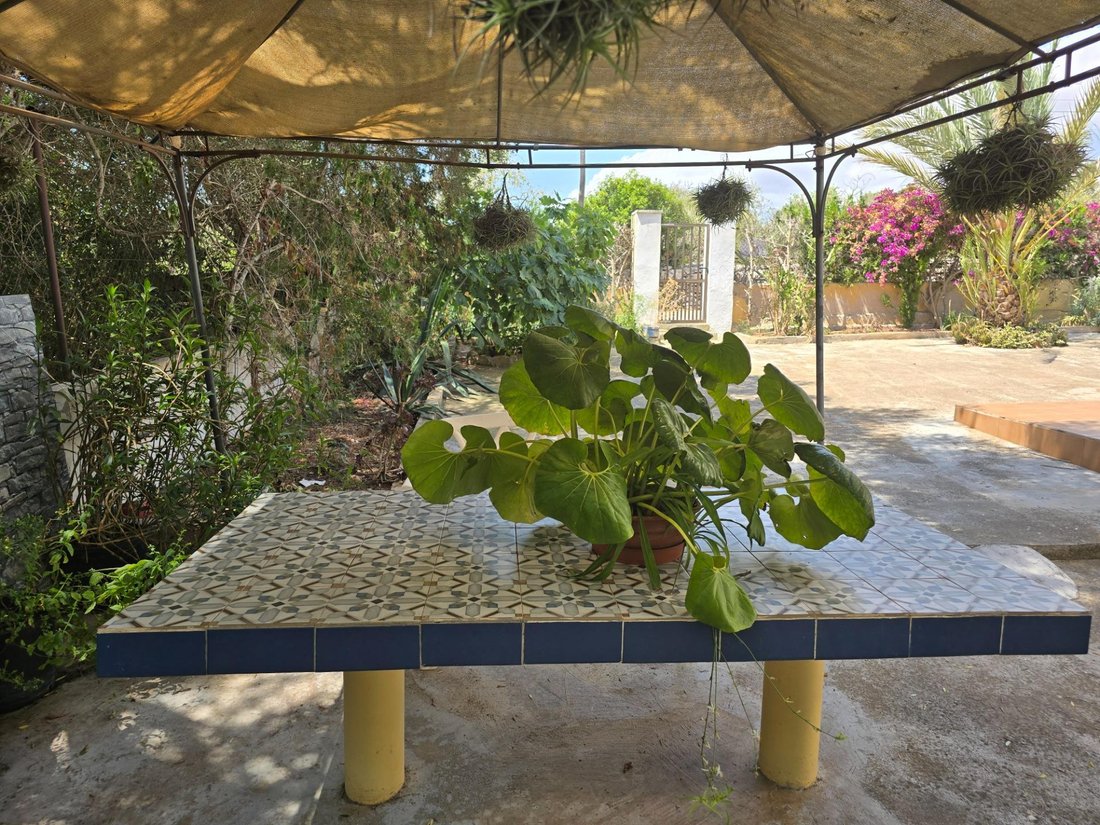 Country House in Santanyi, Balearic Islands, Spain 4 - 18321533