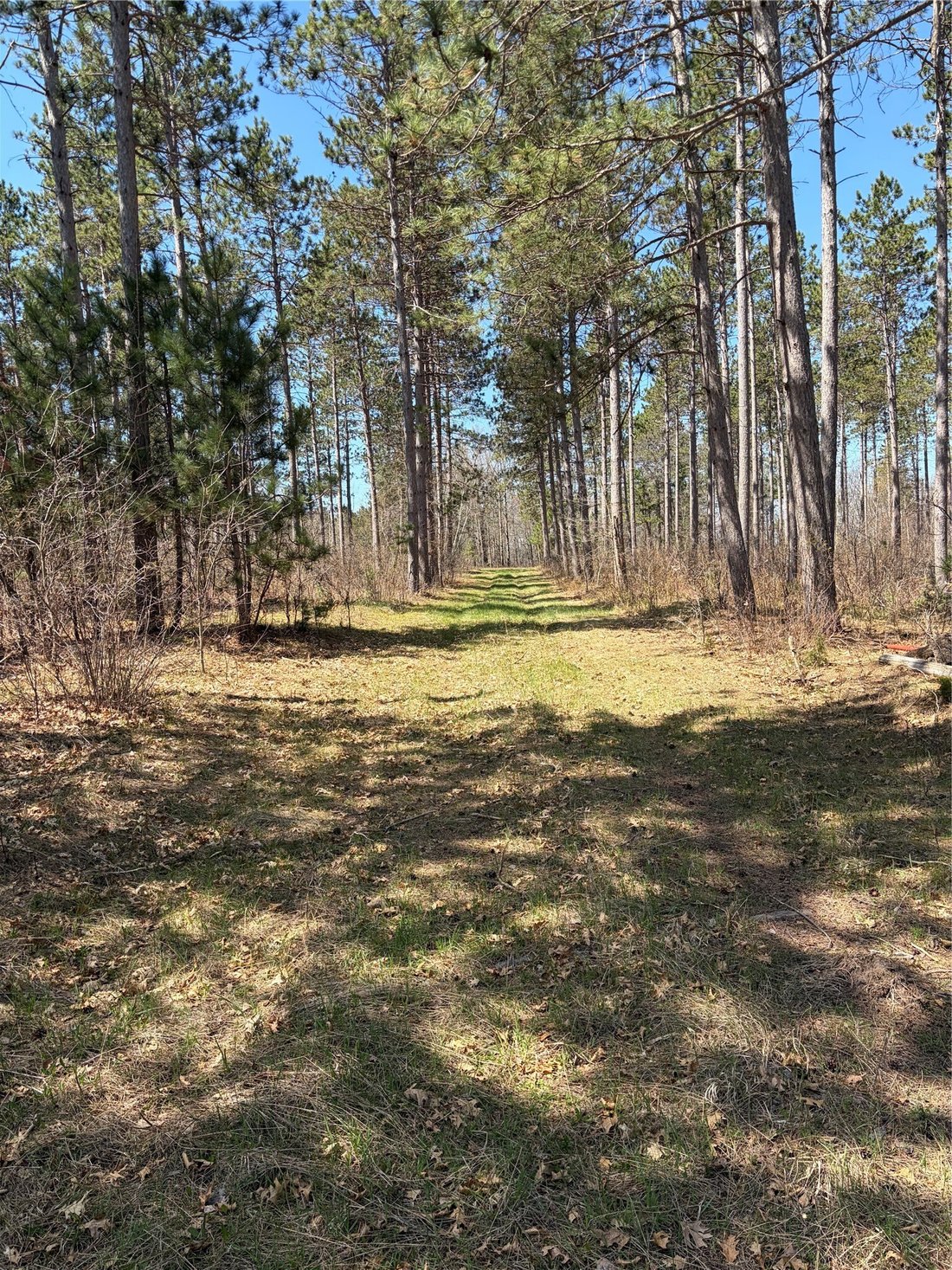 Land in Spooner, Wisconsin, United States 3 - 18322401