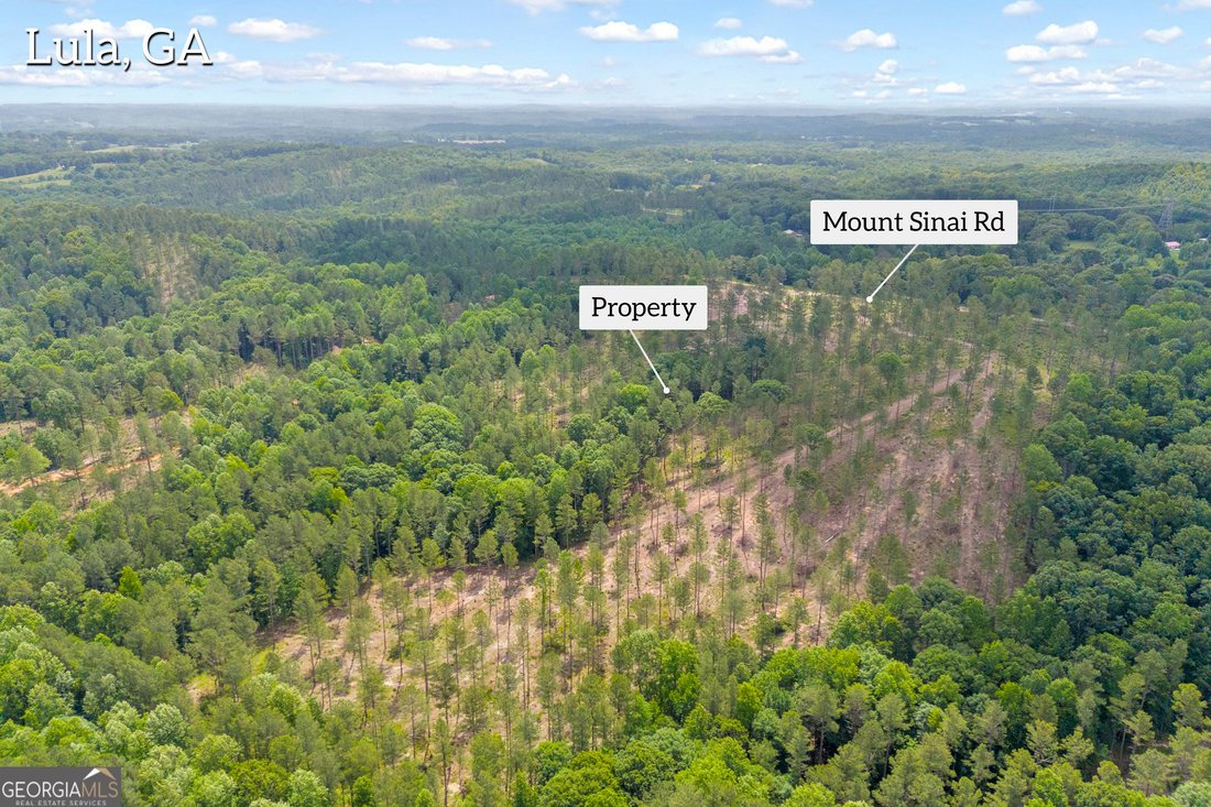 Terreno a Lula, Georgia, Stati Uniti 1 - 18319088