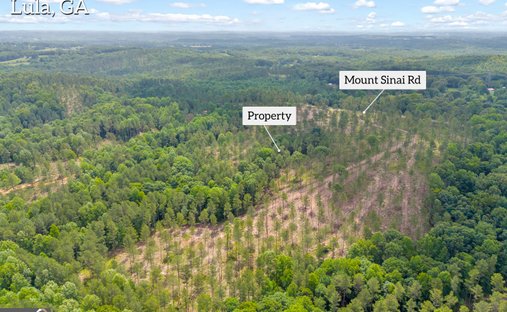 Terrain à Lula, Géorgie, États-Unis 1