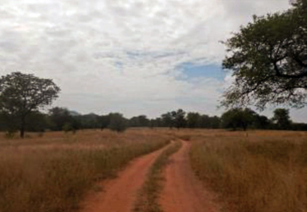 Farm Ranch in Soweto, Gauteng, South Africa 4 - 14667492