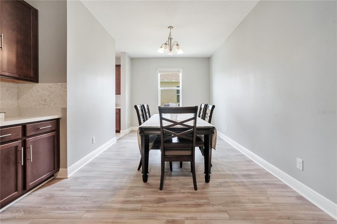 House in Minneola, Florida, United States 5 - 18321154